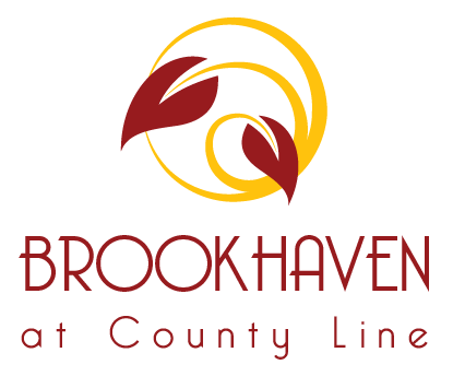 Brookhaven At County Line