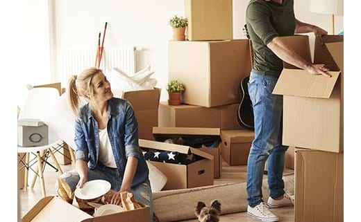 couple unpacking with dog